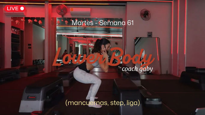 MARTES: Lower Body